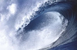 Estimation of tsunami damage to vehicles using LS DYNA