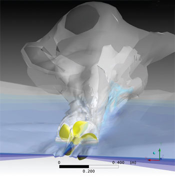 Multiphase Flows